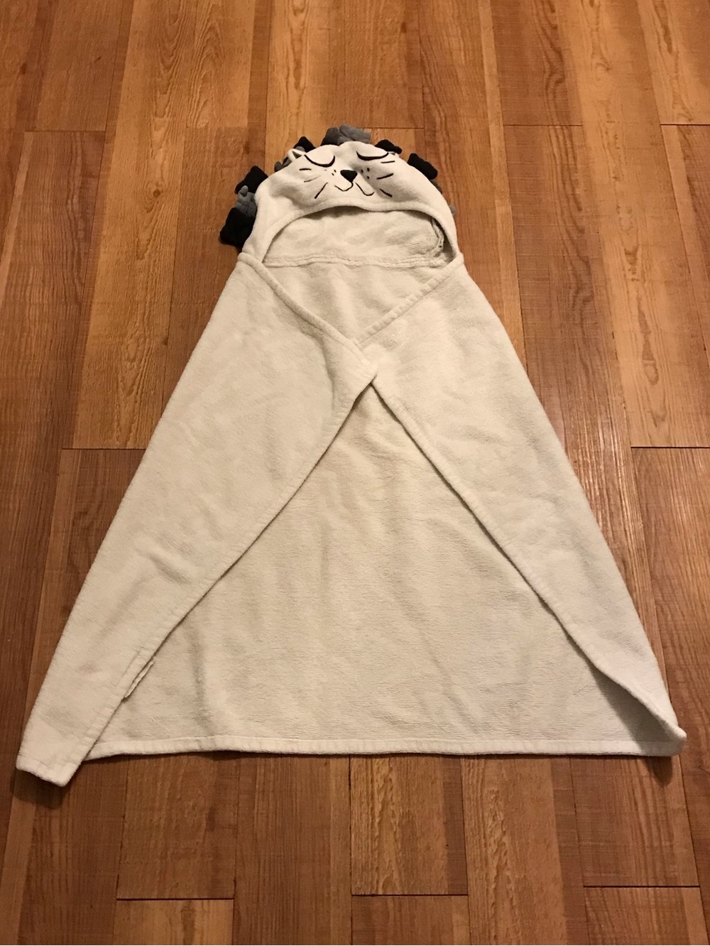 Pottery Barn Kids X Emily Meritt Lion Bath Beach Hooded Towel